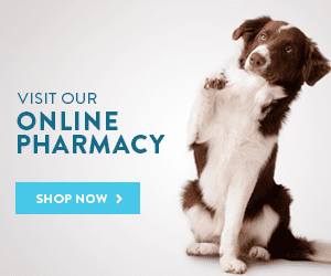 online pharmacy shop now