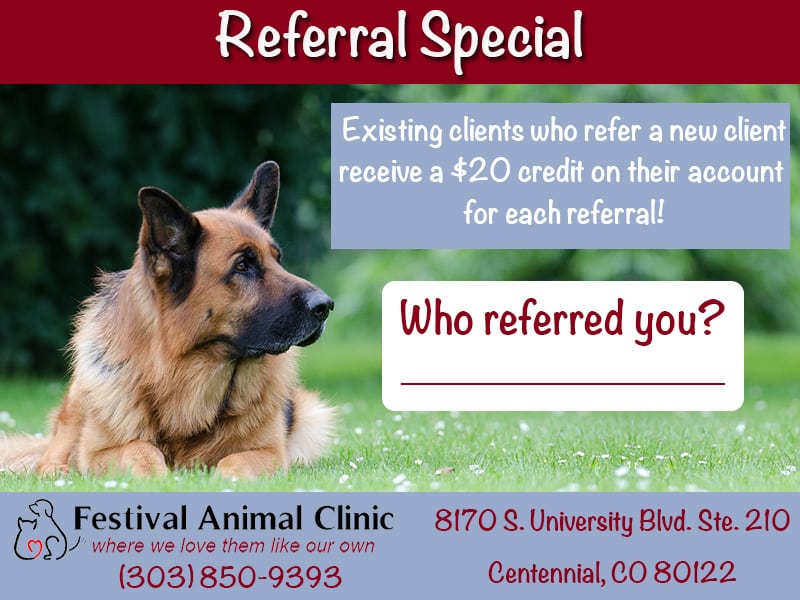 Pet Promotions in Centennial, CO - Festival Animal Clinic