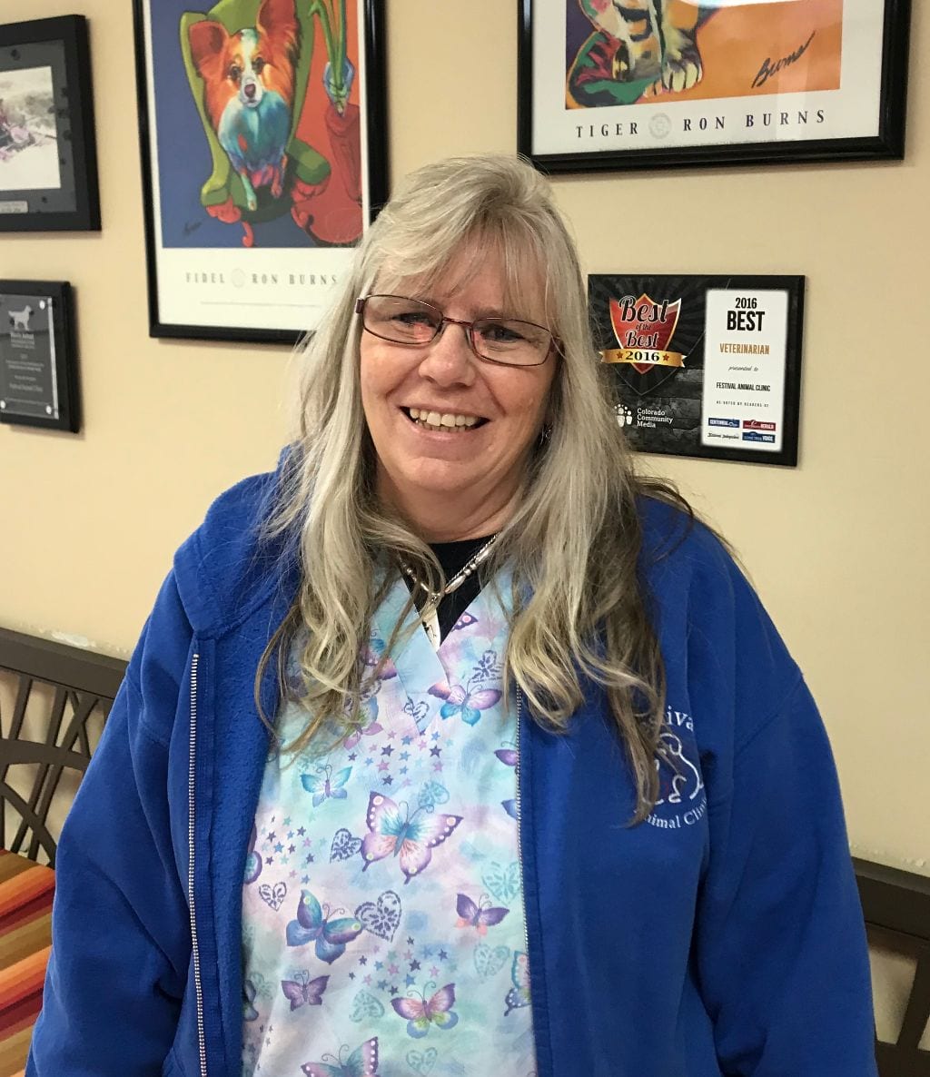 Karen Karen: Veterinarians in Centennial