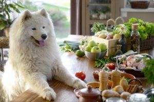 Top 10 Holiday Foods That Are Dangerous For Your Pet