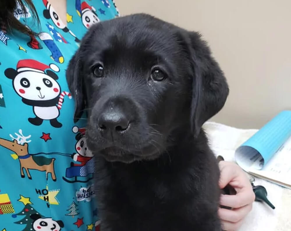 corner of modern building