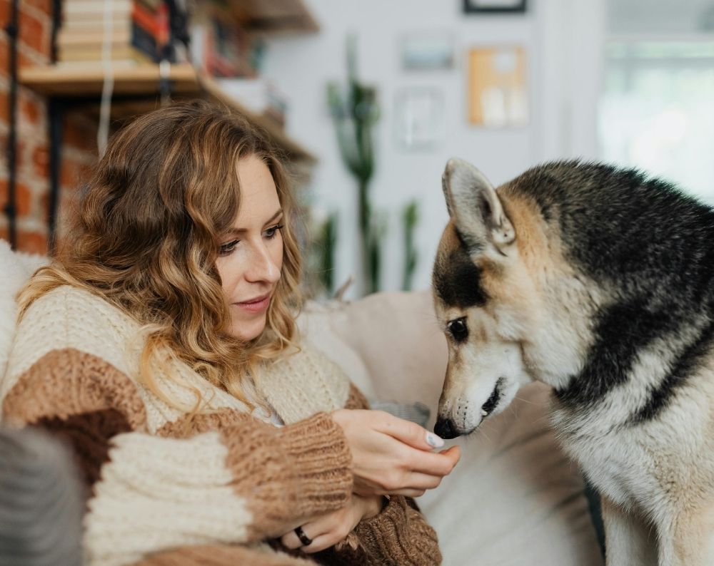 a person sitting on a couch with a dog