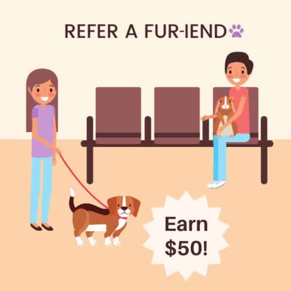 Refer a Friend