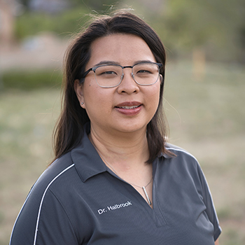 Veterinarians In Centennial, CO | Festival Animal Clinic